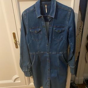 Free people denim dress